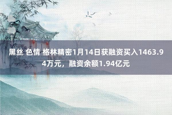 黑丝 色情 格林精密1月14日获融资买入1463.94万元，融资余额1.94亿元