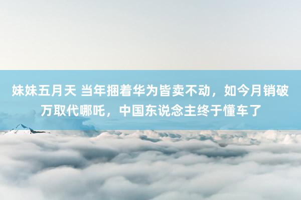妹妹五月天 当年捆着华为皆卖不动，如今月销破万取代哪吒，中国东说念主终于懂车了