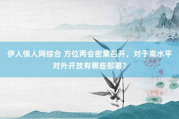 伊人情人网综合 方位两会密集召开，对于高水平对外开放有哪些部署？