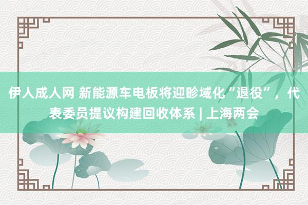 伊人成人网 新能源车电板将迎畛域化“退役”，代表委员提议构建回收体系 | 上海两会