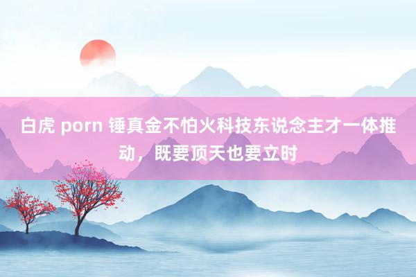 白虎 porn 锤真金不怕火科技东说念主才一体推动，既要顶天也要立时