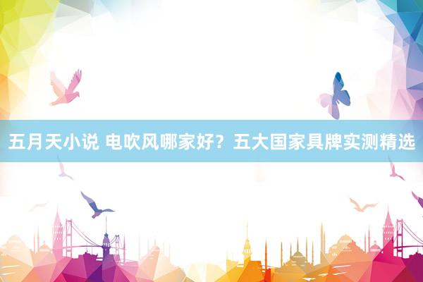 五月天小说 电吹风哪家好？五大国家具牌实测精选