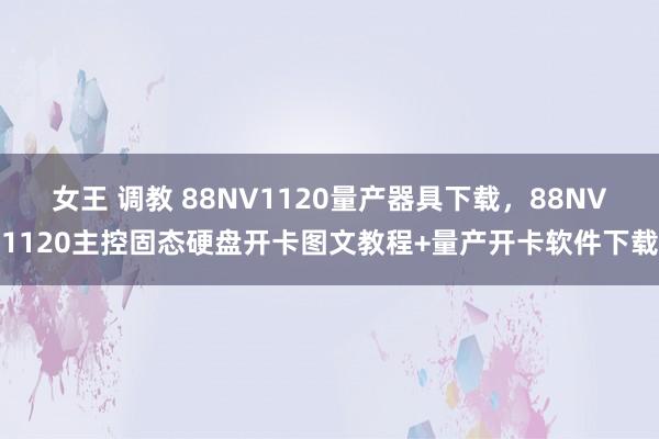 女王 调教 88NV1120量产器具下载，88NV1120主控固态硬盘开卡图文教程+量产开卡软件下载
