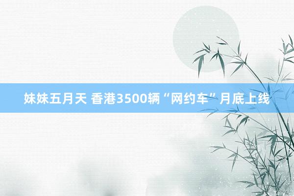 妹妹五月天 香港3500辆“网约车”月底上线