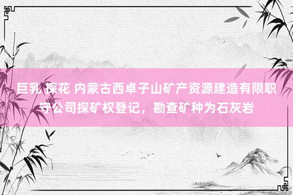 巨乳 探花 内蒙古西卓子山矿产资源建造有限职守公司探矿权登记，勘查矿种为石灰岩