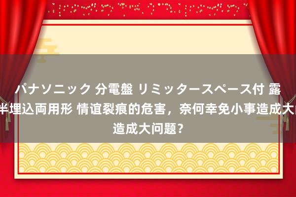 パナソニック 分電盤 リミッタースペース付 露出・半埋込両用形 情谊裂痕的危害，奈何幸免小事造成大问题？