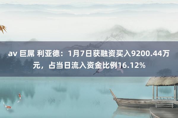 av 巨屌 利亚德：1月7日获融资买入9200.44万元，占当日流入资金比例16.12%