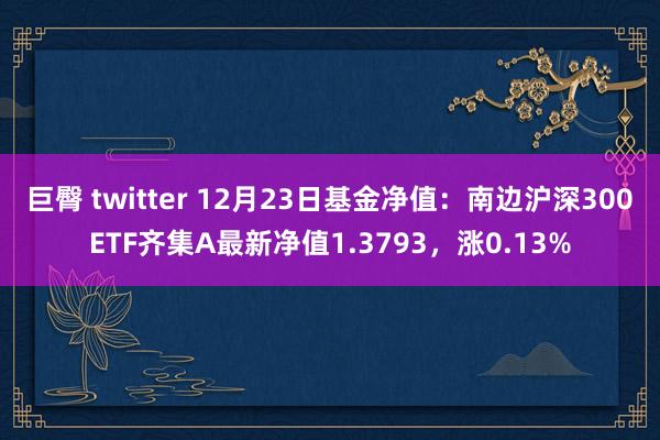 巨臀 twitter 12月23日基金净值：南边沪深300ETF齐集A最新净值1.3793，涨0.13%