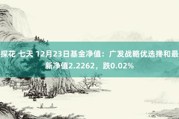 探花 七天 12月23日基金净值：广发战略优选搀和最新净值2.2262，跌0.02%