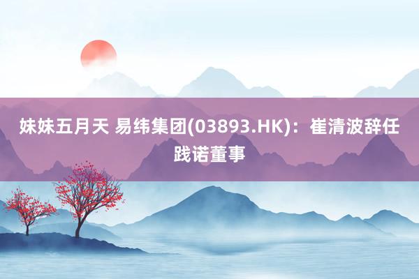 妹妹五月天 易纬集团(03893.HK)：崔清波辞任践诺董事