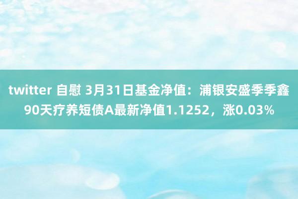 twitter 自慰 3月31日基金净值：浦银安盛季季鑫90天疗养短债A最新净值1.1252，涨0.03%