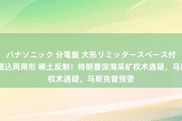 パナソニック 分電盤 大形リミッタースペース付 露出・半埋込両用形 稀土反制！特朗普深海采矿权术遇疑，马斯克曾预警