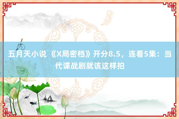 五月天小说 《X局密档》开分8.5，连看5集：当代谍战剧就该这样拍