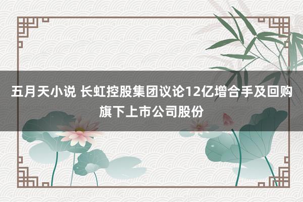 五月天小说 长虹控股集团议论12亿增合手及回购旗下上市公司股份