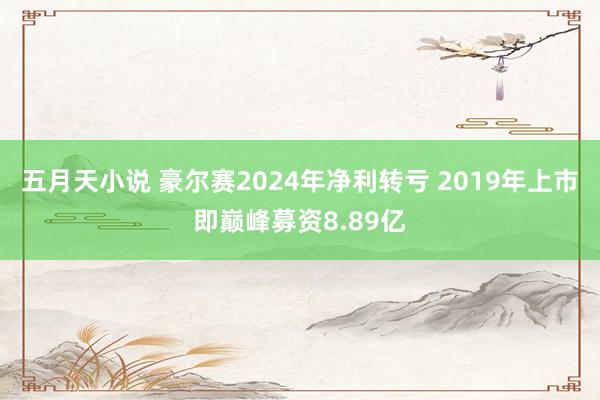 五月天小说 豪尔赛2024年净利转亏 2019年上市即巅峰募资8.89亿